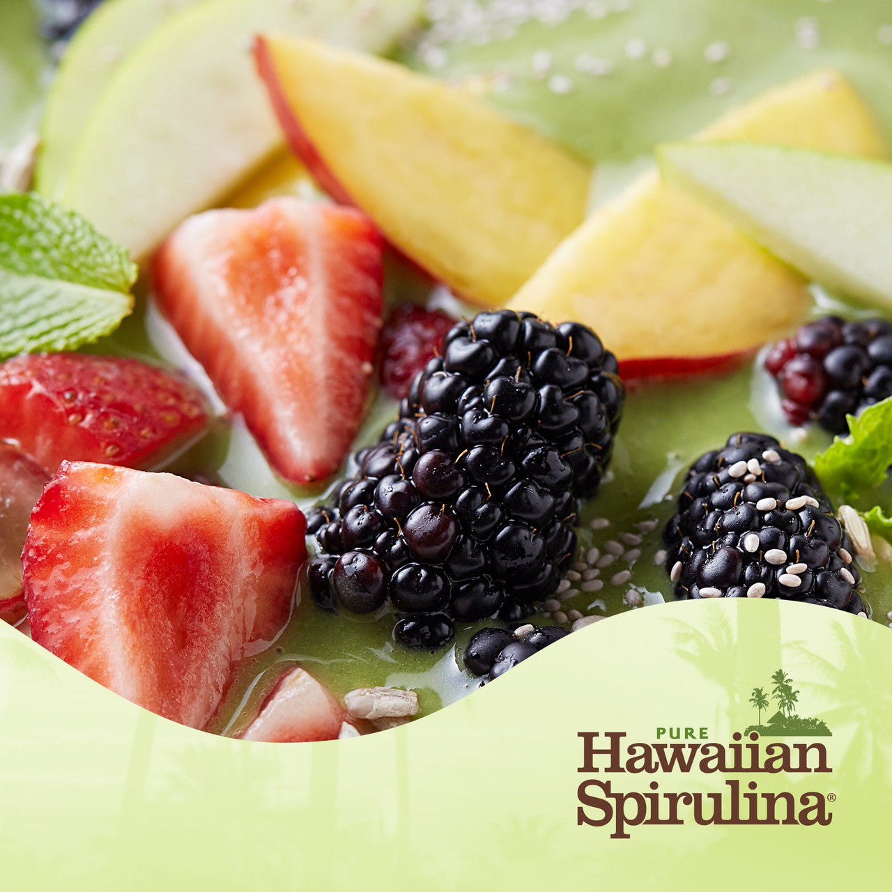 Nutrex Hawaii Spirulina Powder (1x5 Oz)